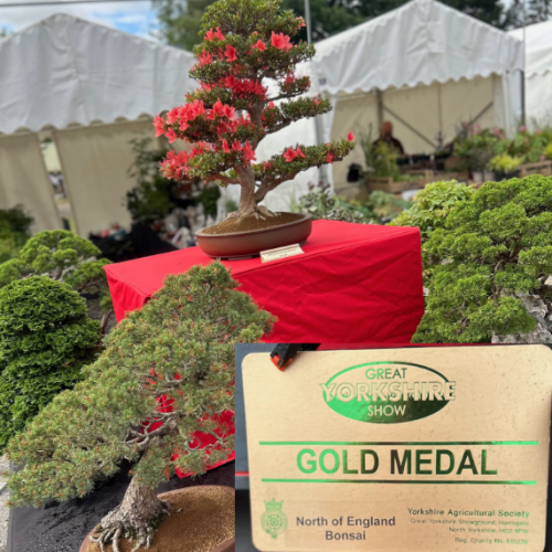 Screen Shot 2025-07-10 at 12.18.31